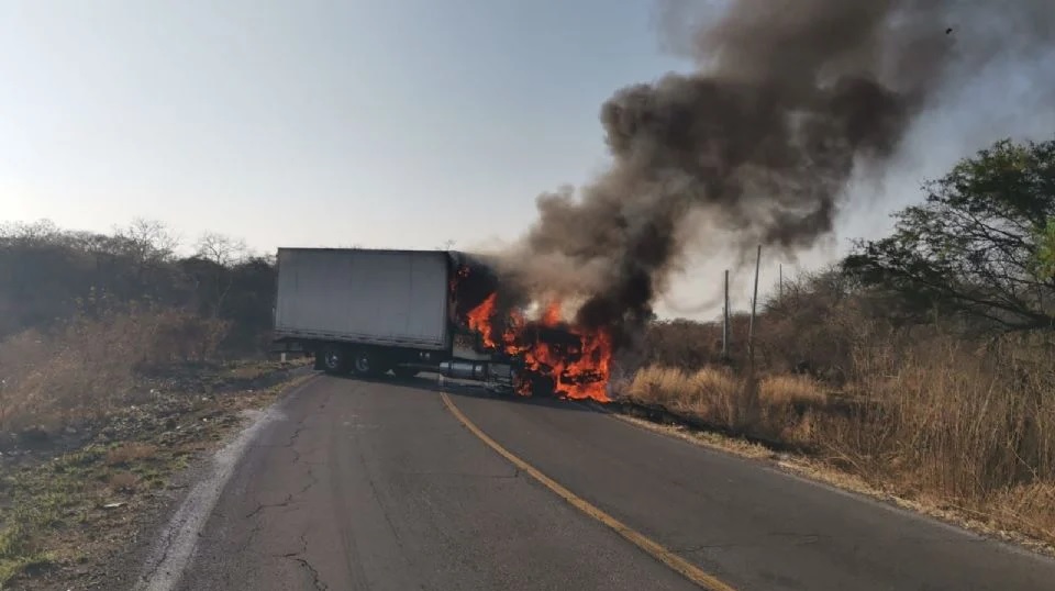 Puerto Vallarta cartel fraud investigation